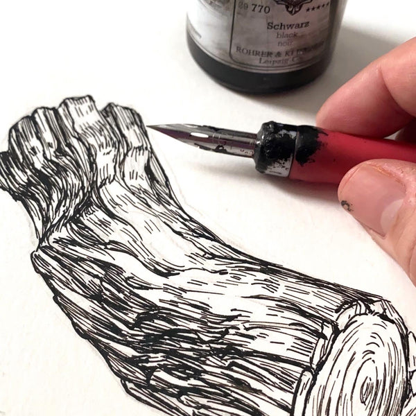 Ink Illustration for Beginners with DIp Pen and Ink